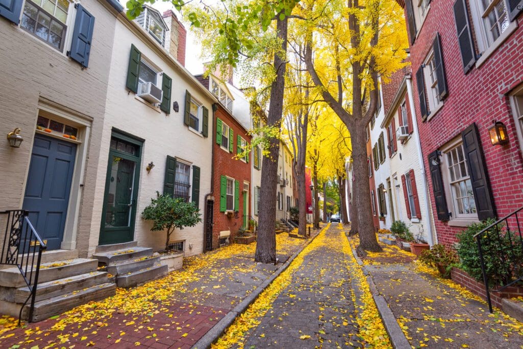 Autumn alleyway in a traditional neighborhood in Philadelphia, Pennsylvania, USA.