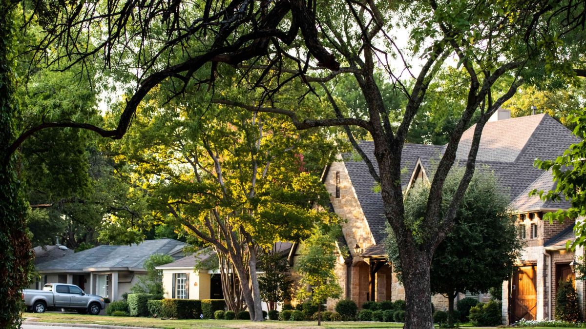 Quiet Neighborhood street with trees on a summer morning